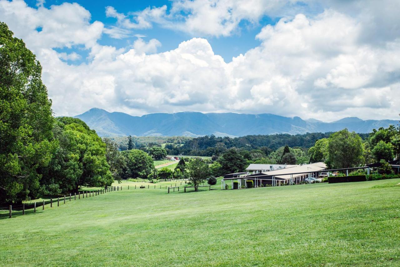 The Lodge Bellingen Zewnętrze zdjęcie